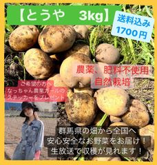 じゃがいも(とうや)3kg【農薬、肥料不使用】なっちゃん野菜