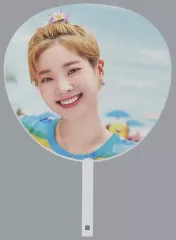 【中古】うちわ(女性) ダヒョン うちわ 「TWICE POPUP STORE “Twaii’s Shop”」4589411796055