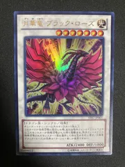 2025年最新】月華竜 ブラック・ローズの人気アイテム - メルカリ