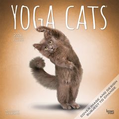 【輸入版】2024年 ヨガ・キャット カレンダー / ブラウントラウト 30.5 x 61 cm (Yoga Cats  Calendar)