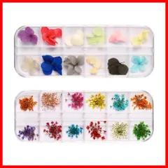 【フォロー割】ネイル 押し花 レジン 上質 押し花 材料 ネイルパーツ 天然の押し花 ドライフラワー ネイルアート用装飾材 ドライレース模様 2ボックス 飾品diy部品