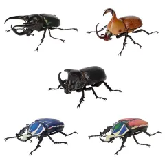 【中古】トレーディングフィギュア 全5種セット 「いきもの大図鑑 かぶとむし06」