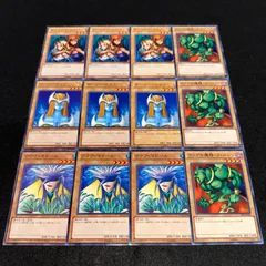 2025年最新】アクアマドールの人気アイテム - メルカリ