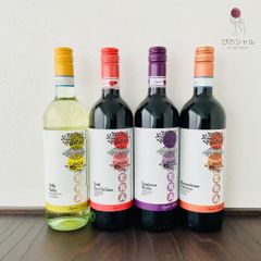 🇮🇹【コンクール金賞受賞ワインセット】イタリア　ヴィーガンワイン　4本セット