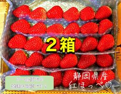 【二箱】大粒〜中粒 紅ほっぺ いちご 🍓 〜農家直送〜