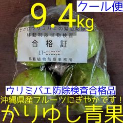 沖縄県産 うりずん豆（琉球四角豆）約５kg 【常温便】② 沖縄県産 うりずん豆（琉球四角豆）約600g 【ネコポス】⑨