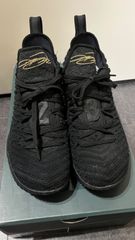 NIKE LEBRON XVI 'I'M KING' / BLACK METALLIC GOLD 27 cm