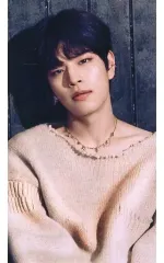 【中古】コレクションカード(男性) Stray Kids/Seungmin(スンミン)/CD「ALL IN」通常盤 初回封入特典フォトカード