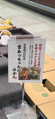 河内みかん🍊みやもっちゃんみかん