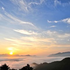 ◇ ポケモンカード 旧裏 英語版 テーマデッキ BRUSHFIRE - メルカリ