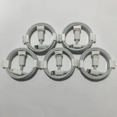 5本　白　タイプc ライトニング　ケーブル　急速充電　充電器 iPhone モバイル　携帯 1m 2.4a typec Lightning iPhone iPad AirPods TYPE C type