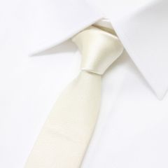 送料無料 108 DOLCE&GABBANA ドルチェ＆ガッパーナ パールホワイト ネクタイ SILK シルク