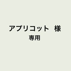 専用ページ