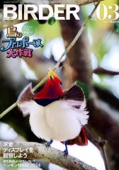 2025年最新】birder 2024の人気アイテム - メルカリ