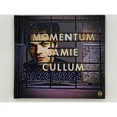 品質 Jamie Cullum ジェイミーカラム レコード LP アナログ レア 希少