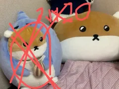 2025年最新】あずまんが大王 ぬいぐるみの人気アイテム - メルカリ