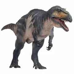 2024年最新】pnso 恐竜の人気アイテム - メルカリ
