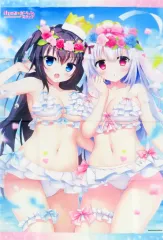 【中古】タペストリー [単品] 皇はねる＆兎月白雪 B2タペストリー 「PS4/Switchソフト けもの道☆ガーリッシュスクエア 完全生産限定版」 同梱特典