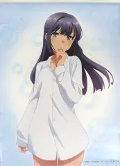 牧之原翔子　タペストリー 青春ブタ野郎はゆめみる少女の夢を見ない』牧之原翔子 B2