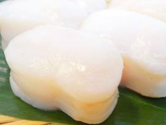 お刺身用 平貝 タイラギ たいら貝 500ｇ（8～10個入）生食用　冷凍 ・平貝【16/20】500g・