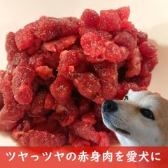 専門施設のペット用鹿肉ミンチ100グラム×20袋