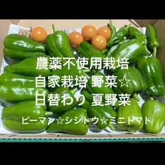 農薬不使用 自家栽培 野菜詰め合わせ おまかせ 野菜セット 夏野菜のサムネイル