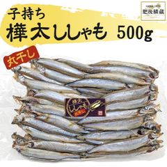 ★子持ち❗樺太 ししゃも 500g シシャモ カラフトシシャモ