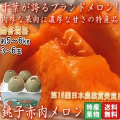 銚子メロン 赤肉厳選 約5～6kg 3～6玉 千葉県産 贈答規格 大玉限定 クインシー・タカミレッドなど 緻密な果肉に濃厚な甘さ！第16回日本農業賞受賞のブランド果物