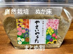 発酵ぬか床　「やさいのうた」2個セット