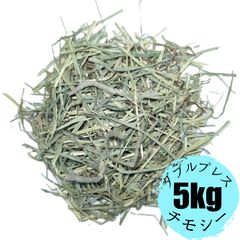 Item thumbnail for item ae956b7f-b279-4653-8f8f-c43e4ee9c061