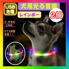 首輪 犬 光る　2個 レインボー　虹色 おしゃれ 散歩　光る首輪 LEDライト USB充電 安全　夜　サイズ　調整可能　充電　小型犬　防犯　ペット