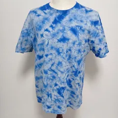 Champion　チャンピオン　タイダイ柄　青系　Tシャツ L〜XL相当