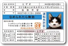 2023年最新】なめ猫免許証の人気アイテム - メルカリ