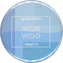 【中古】バッジ・ピンズ ウォヌ 缶バッジ(NAME) 「SEVENTEEN CAFE 2020 ～SALAD FACTORY～」