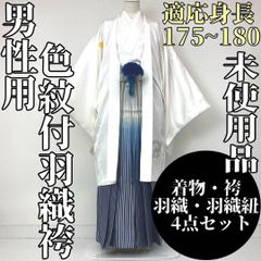 着物と帯 時流】F24519◇正絹 袋帯◇作家物 螺鈿 長尺 金彩 和