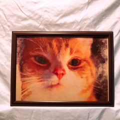 186:どアップイレブン3    猫  パロディアート  ポスター フレーム付き