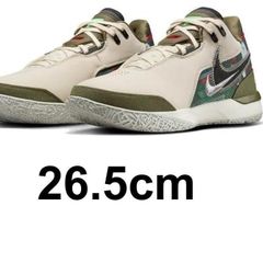 NIKE ナイキ レブロン NXXT Gen AMPD EP x フェイズLEBRON NXXT Gen AMPD EP  HF0716-200 26.5 cm