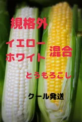 規格外 とうもろこし 食べ比べセット 15本程　クール便のサムネイル