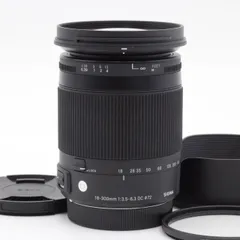 2024年最新】sigma 18- mm f3.5-6.3 dc macro os hsm ニコンの人気