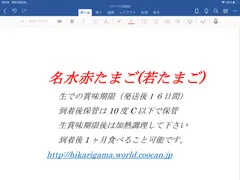 追加クール送料　卵ではありません　ご注意下さい