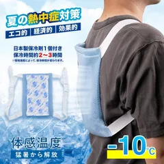 冷感パッド クールベスト 保冷剤リュック 熱中症対策グッズ アイスリュック 背中パッド 冷たい ひんやり 涼しい 通勤通学 ゴルフ 夏 暑さ対策 大人 子ども Oa9N860