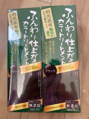 ふんわり仕上がるカラートリートメントブラック2個