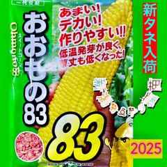 白いおおもの　おおもの83　セット