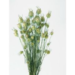 Item thumbnail for item c07916ab-5296-4211-8ca7-3abe2b77d8f0