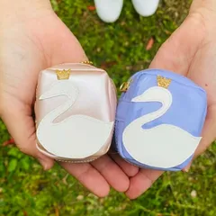 C様専用バレエ 白鳥の湖 スワン ブラックスワン　小物入れ　バッグチャーム