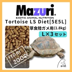 2025年最新】イグアナケージの人気アイテム - メルカリ