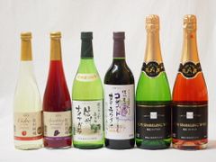 5本セット】シャトー・メルシャン 岩出甲州 山梨甲州 4本セット+1本