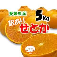 43.和歌山 有田 せとか Mサイズ 箱込み重量5kg - メルカリ