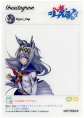 ウマ娘シンデレラグレイ　12巻　アクリルペンライト＆ラバーバンド　当選品 ウマ娘シンデレラグレイ 12巻 アクリルペンライト＆ラバーバンド