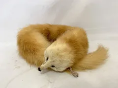 リアルファー 毛皮マフラー ミンク 動物 カラー: 画像参照 美中古品